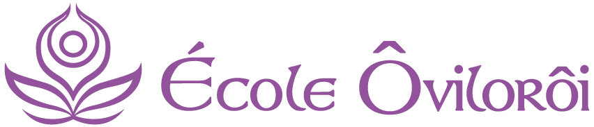 Moodle Oviloroi